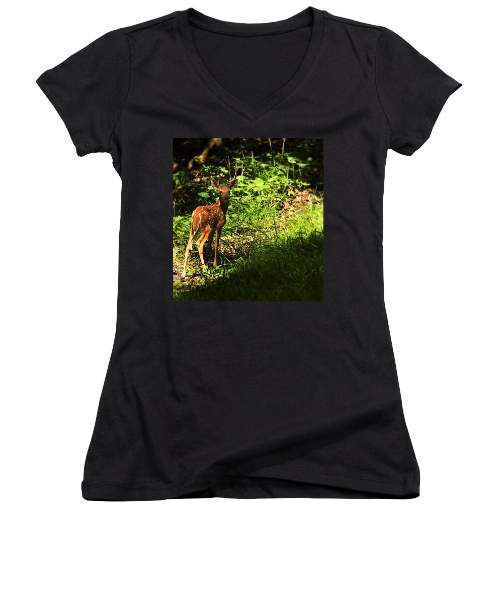 Deer Women's V-Neck featuring the photograph Bambi by Melissa Petrey