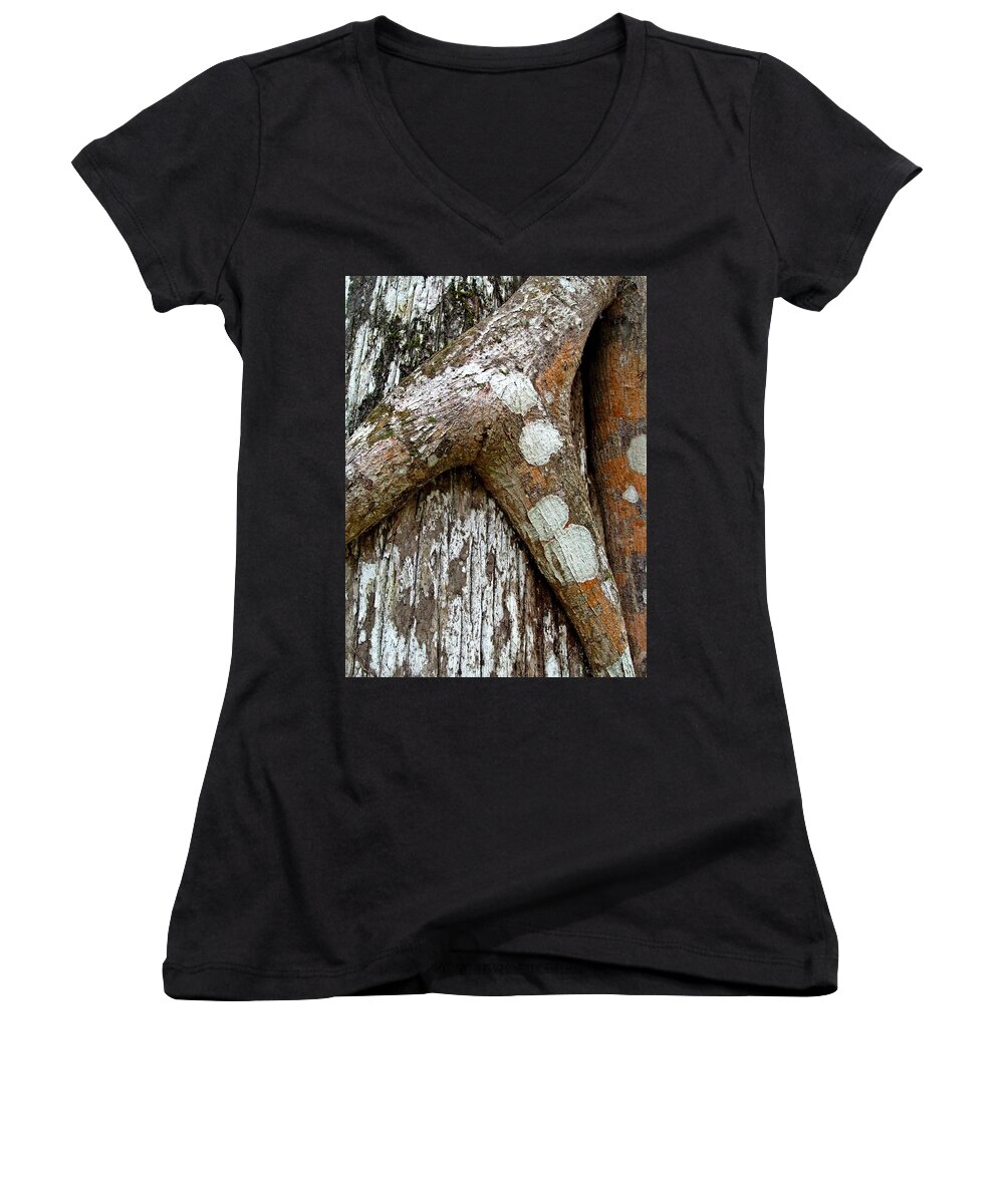 Tree Bark Women's V-Neck featuring the digital art Bark Textures 1 by Maria Huntley