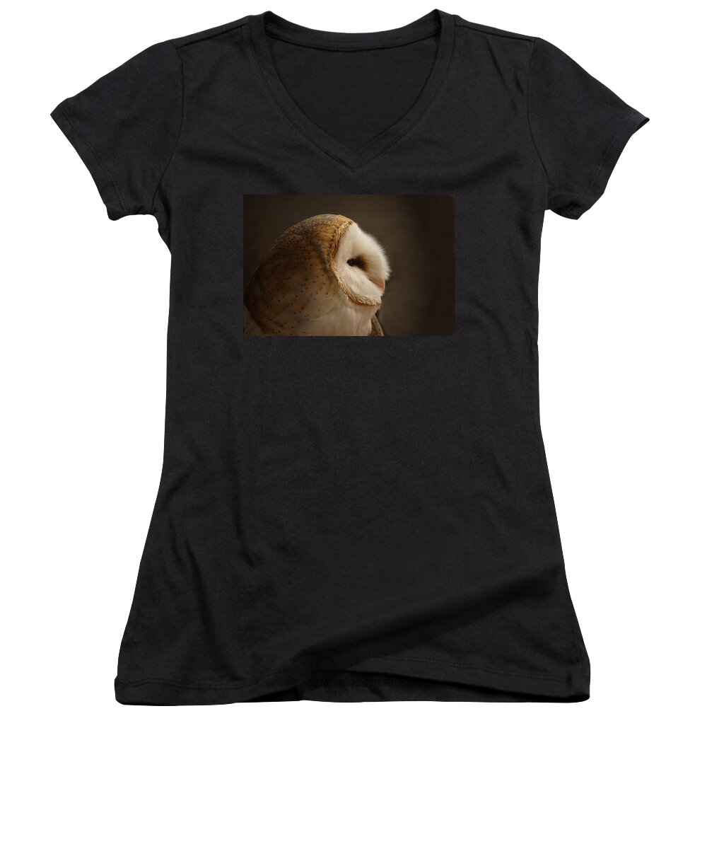 Barn Owl Women's V-Neck featuring the photograph Barn Owl 3 by Ernest Echols