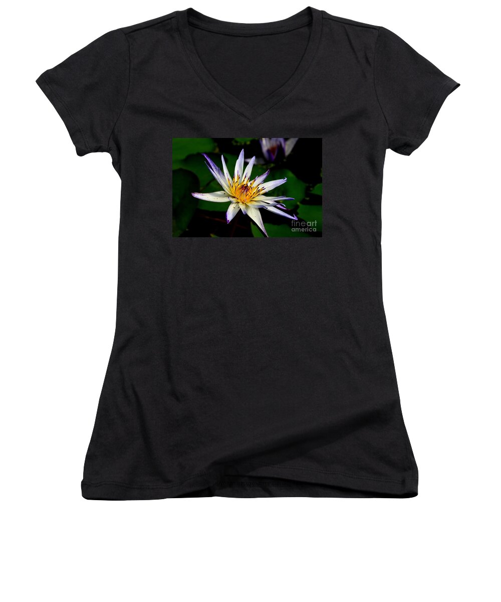 Lily Women's V-Neck featuring the photograph Beautiful violet white and yellow water lily flower by Imran Ahmed
