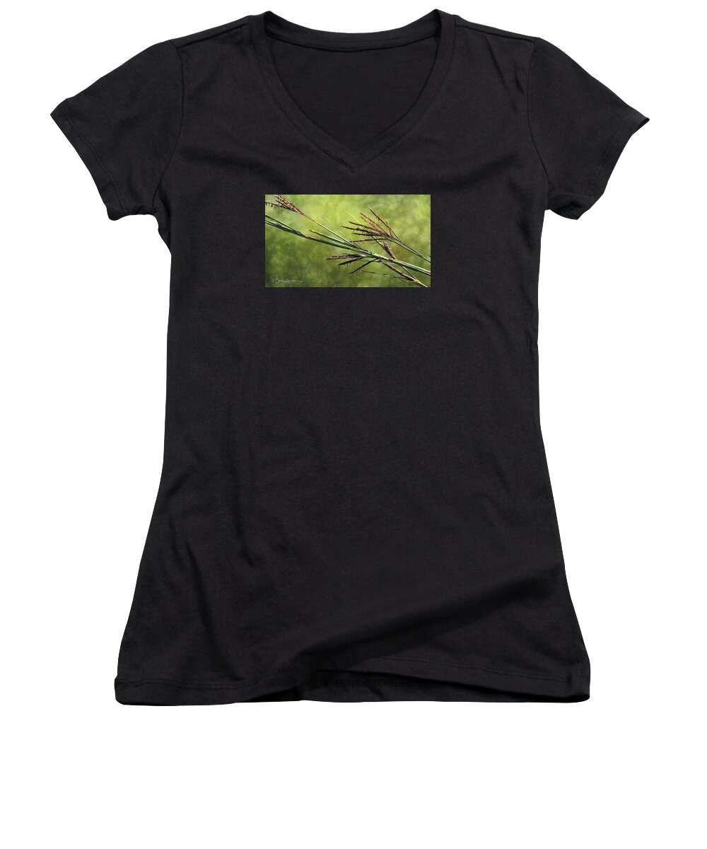 Prairie Women's V-Neck featuring the drawing Big Bluestem in Bloom by Bruce Morrison
