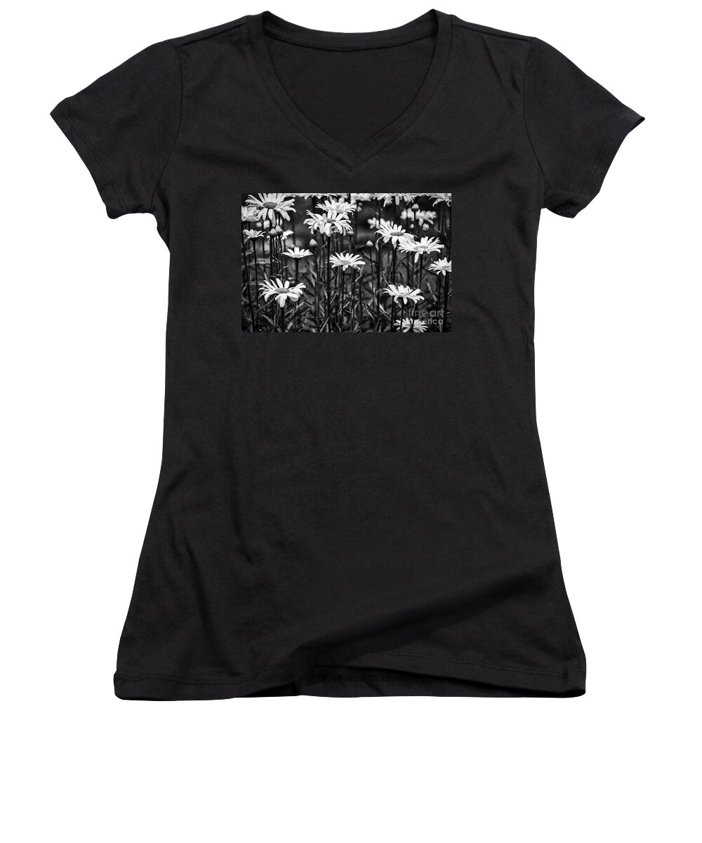 Background Women's V-Neck featuring the photograph Black and White Daisies by Mary Carol Story