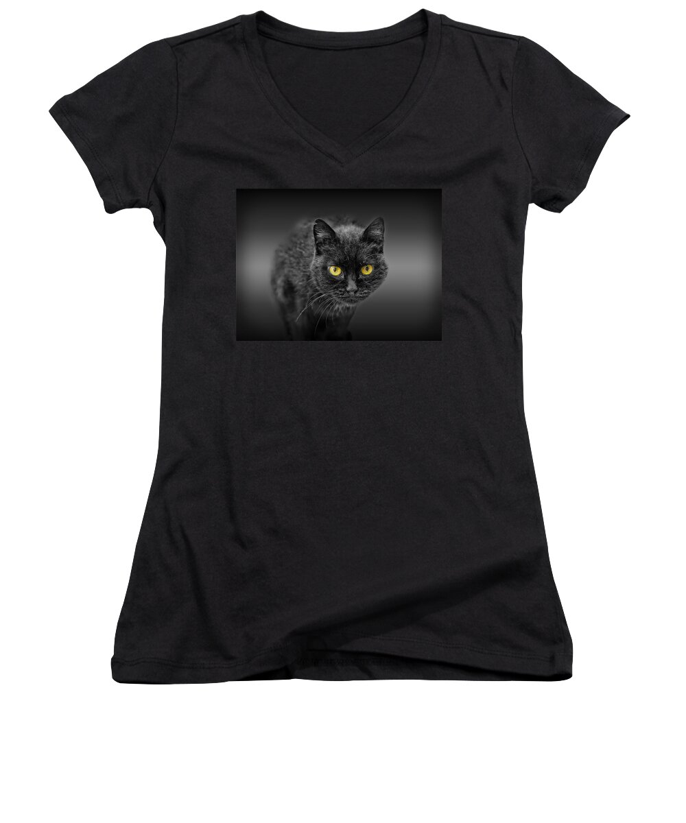 Animal Women's V-Neck featuring the photograph Black Cat by Peter Lakomy