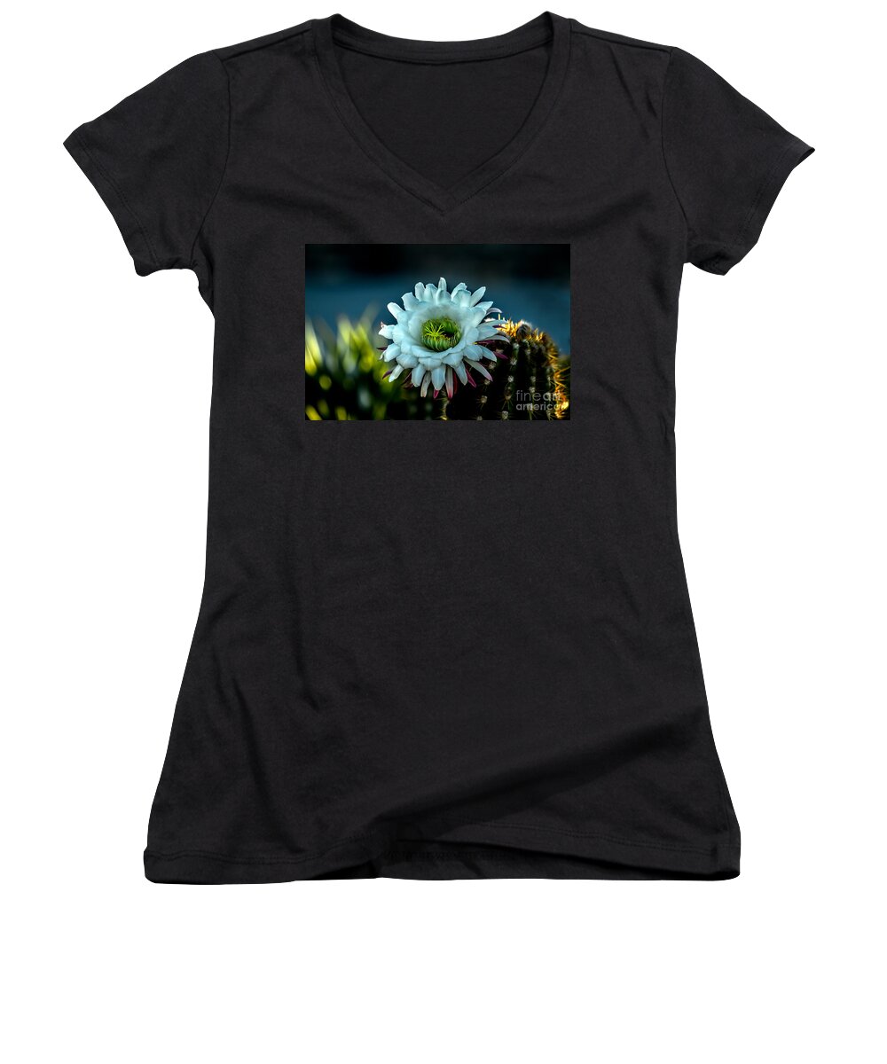 Argentine Giant Women's V-Neck featuring the photograph Blooming Argentine Giant by Robert Bales
