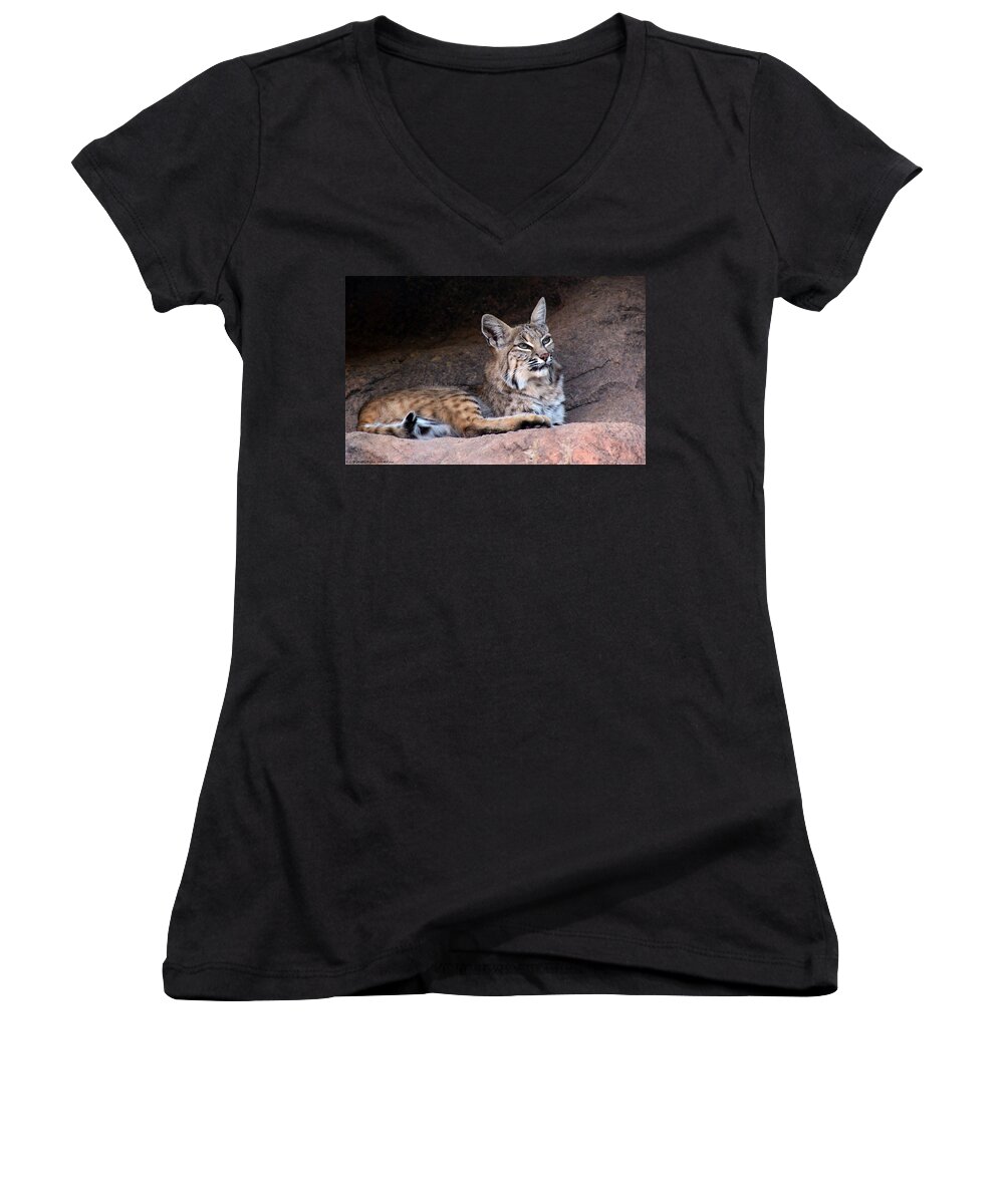 Bobcats Women's V-Neck featuring the photograph Hmm What To Do by Elaine Malott