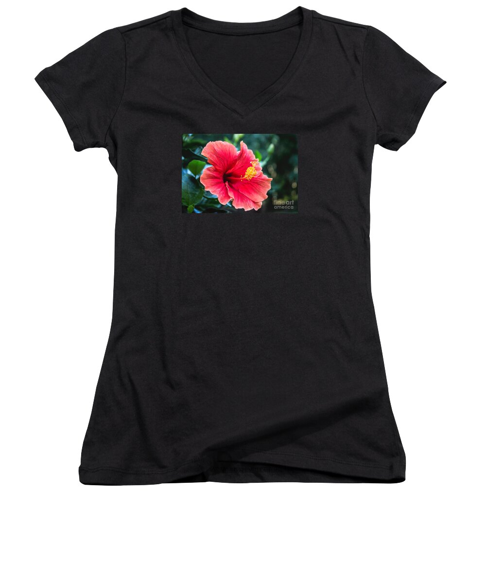 Hibiscus Women's V-Neck featuring the photograph Bold And Beautiful by Arlene Carmel