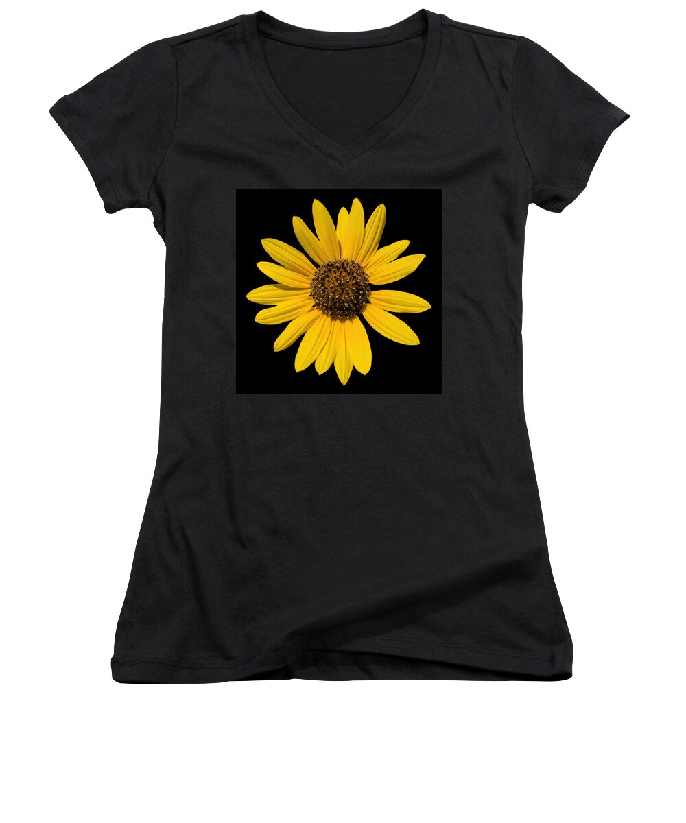 Fred Larson Women's V-Neck featuring the photograph Brown Eyed Susan by Fred Larson