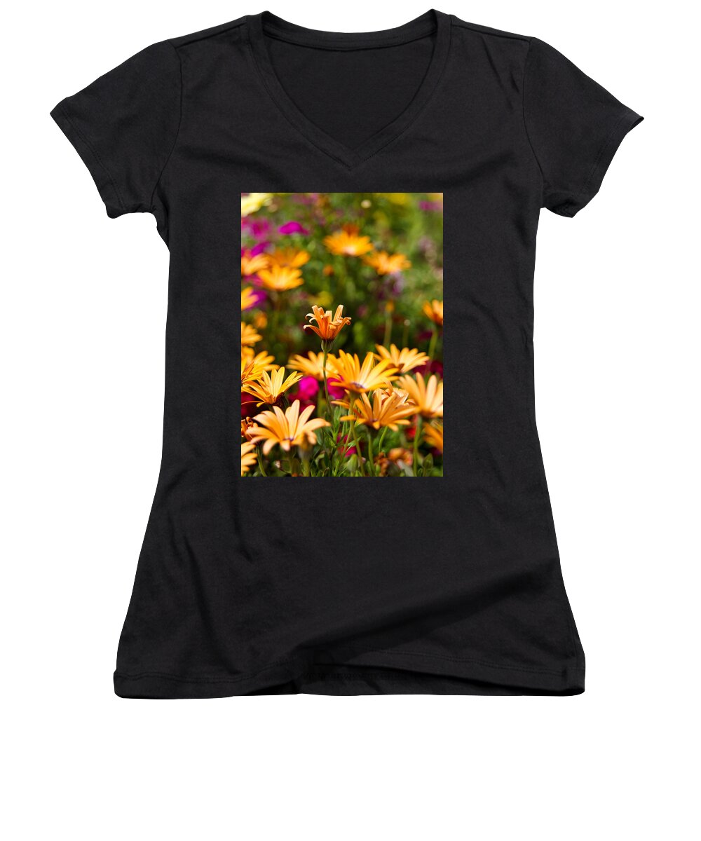 Mayflower Gulch Women's V-Neck featuring the photograph Bursting with Color by Ronda Kimbrow