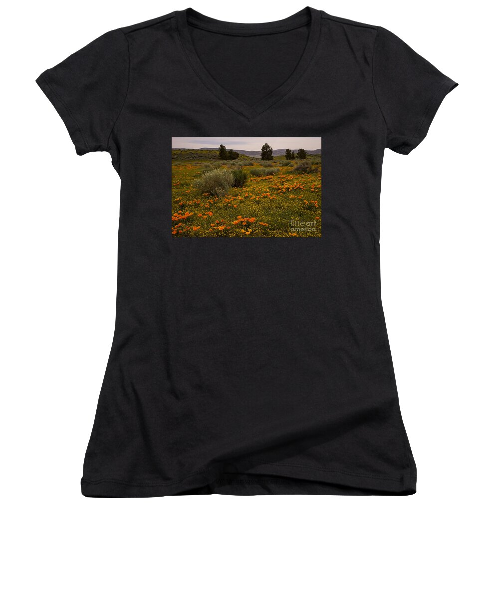 Eschscholzia Californica Women's V-Neck featuring the photograph California poppies in the Antelope Valley by Nina Prommer