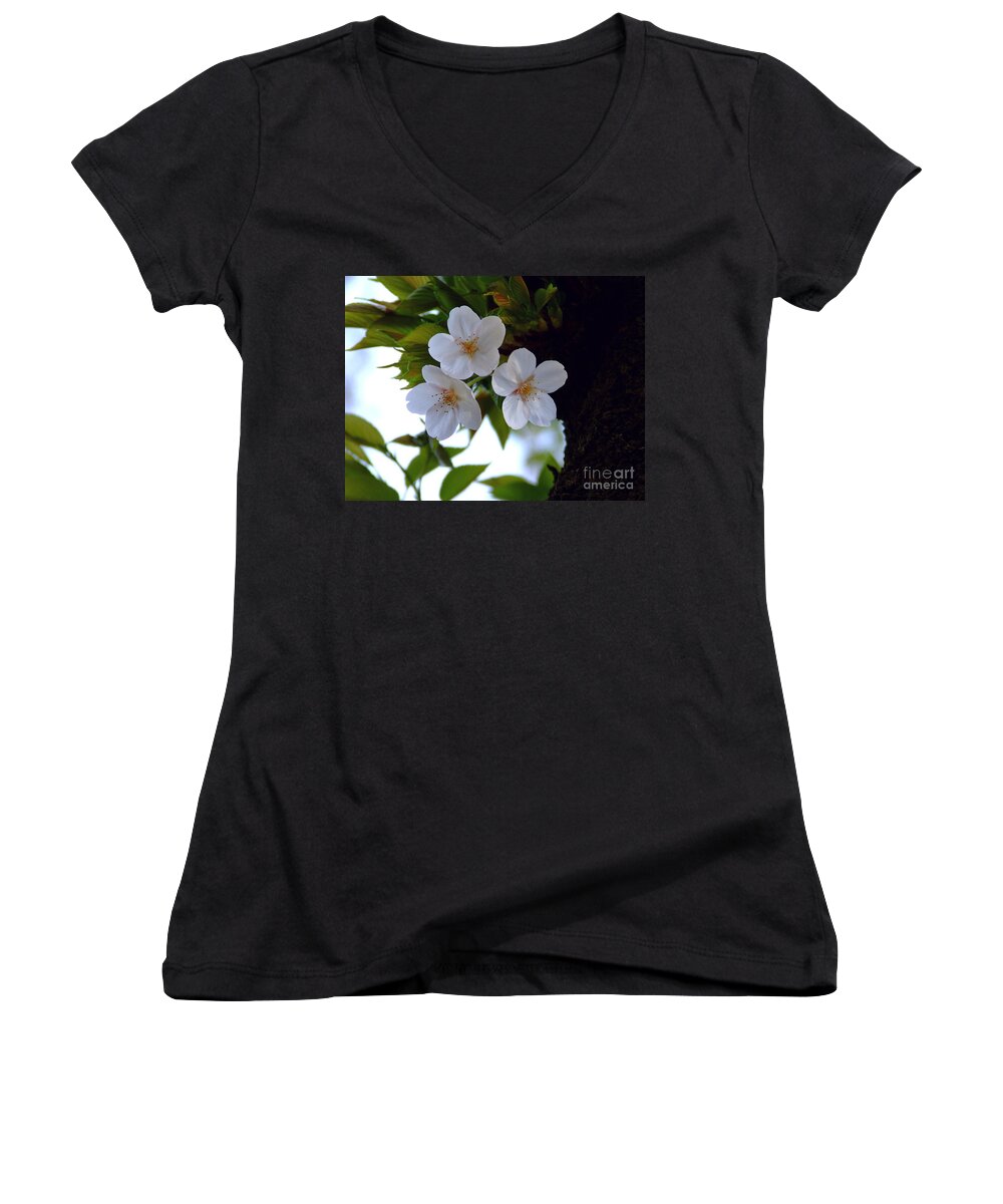 Cherry Blossom Women's V-Neck featuring the photograph Cherry Blossom by Andrea Anderegg