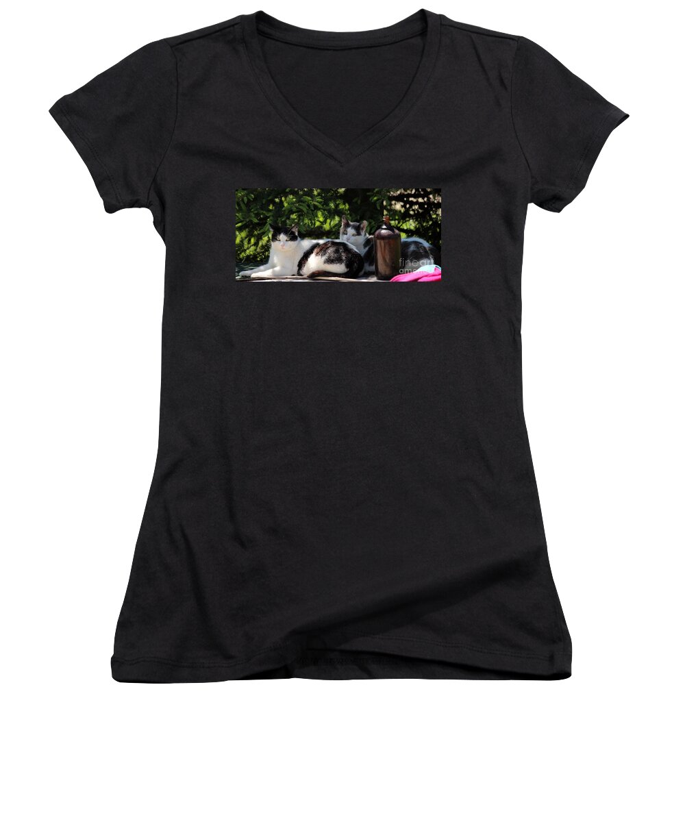 Cats Women's V-Neck featuring the photograph Chillin' Brothers by Janice Byer