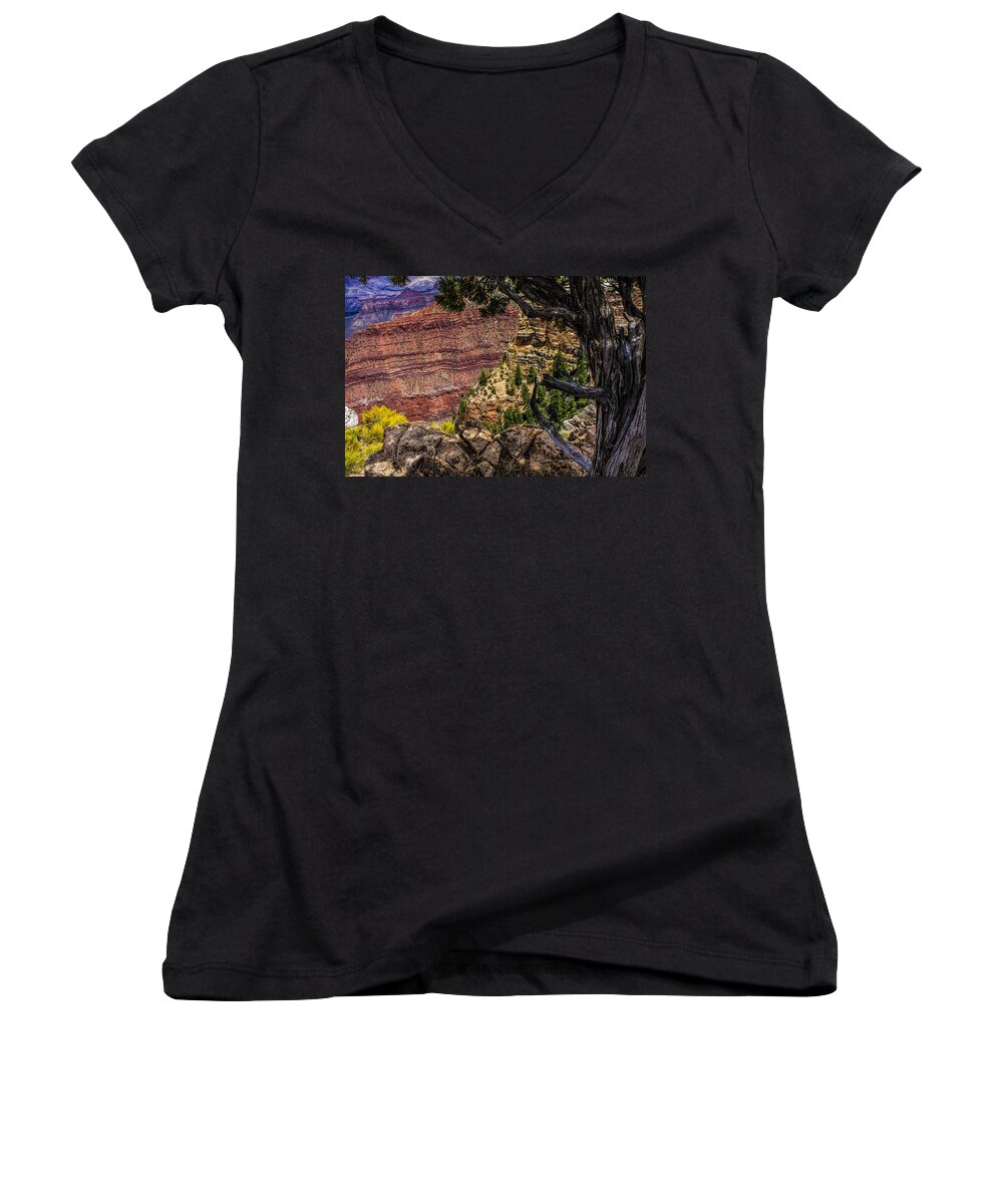 Fred Larson Women's V-Neck featuring the photograph Color of the Canyon by Fred Larson