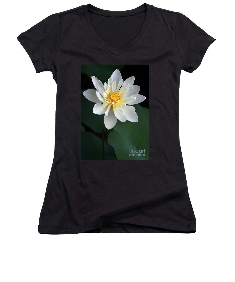 Lotus Women's V-Neck featuring the photograph Confidence by Sabrina L Ryan