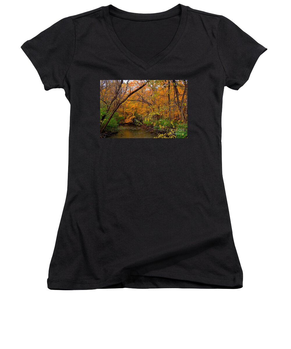 Fall Trees Women's V-Neck featuring the photograph Cool Creek in Fall by Amy Lucid