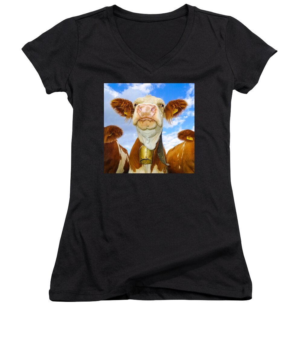 Cow Women's V-Neck featuring the photograph Cow looking at you - funny animal picture by Matthias Hauser