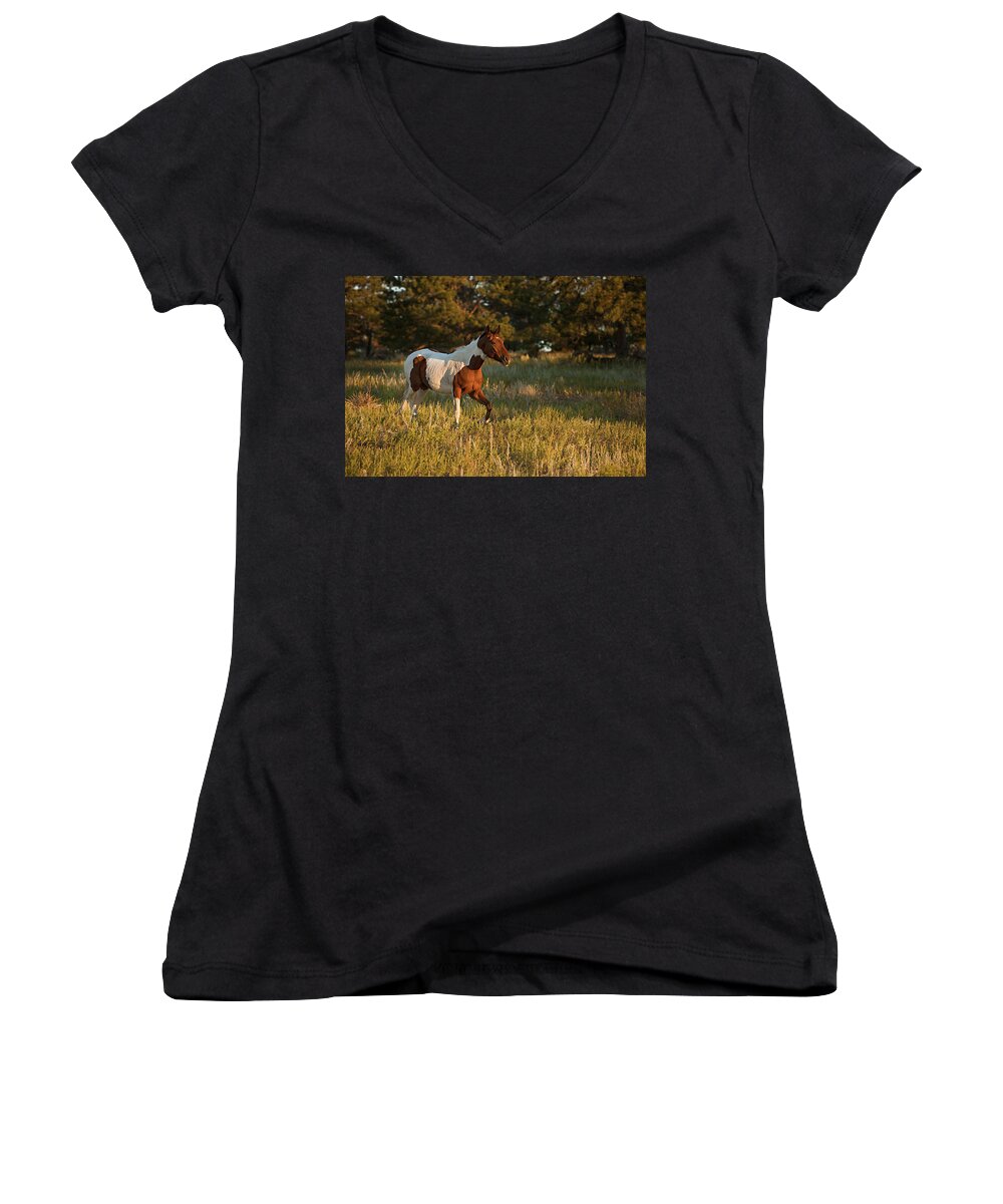 Horse Women's V-Neck featuring the photograph Crispy by Jack Milchanowski