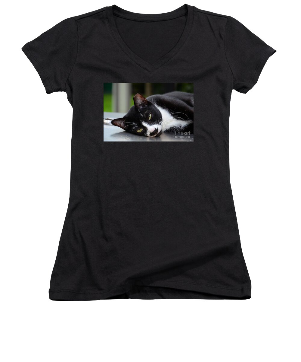 Cat Women's V-Neck featuring the photograph Cute black and white tuxedo cat with nipped ear rests by Imran Ahmed
