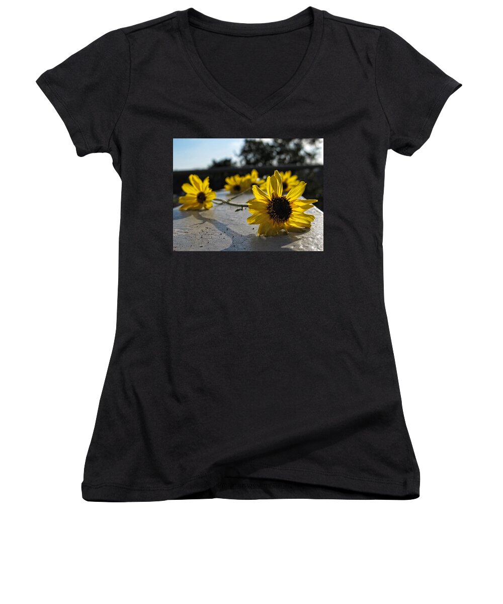 Daisy Women's V-Neck featuring the photograph Daisy Daisy Give Me Your Answer by Helaine Cummins