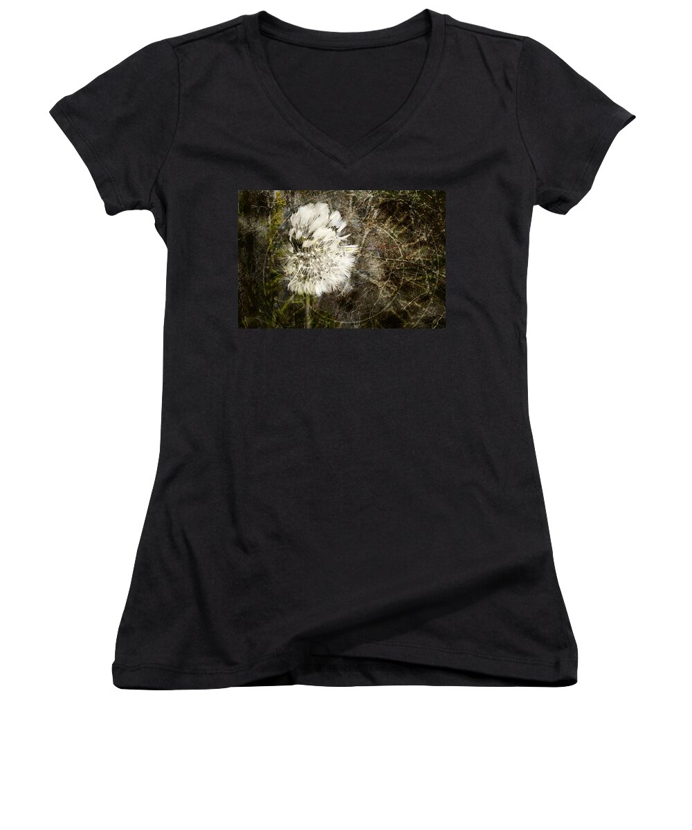 Dandelion Women's V-Neck featuring the photograph Dandelions Don't Care About the Time by Belinda Greb