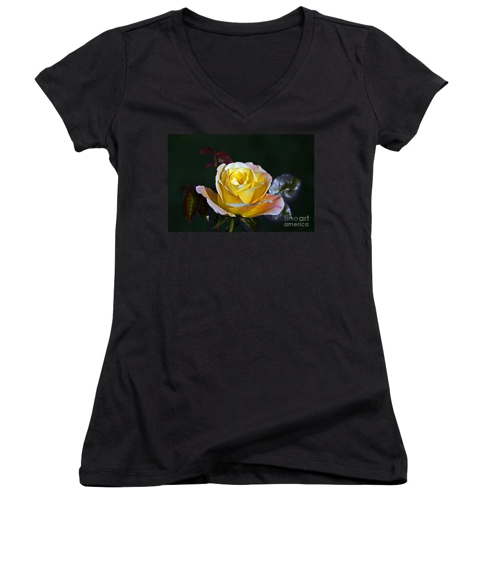 Kate Brown Women's V-Neck featuring the photograph Day Breaker Rose by Kate Brown