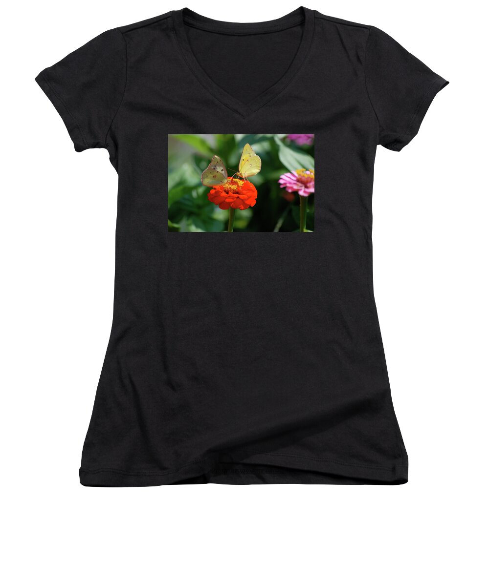 Animals Women's V-Neck featuring the photograph Dinner Table for Two Butterflies by Thomas Woolworth