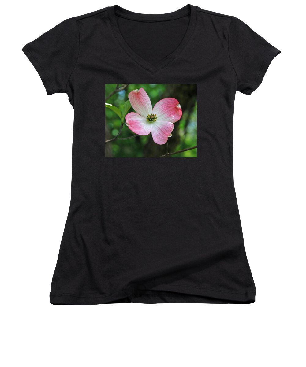 Dogwood Women's V-Neck featuring the photograph Dogwood Blosssom by Richard Bryce and Family