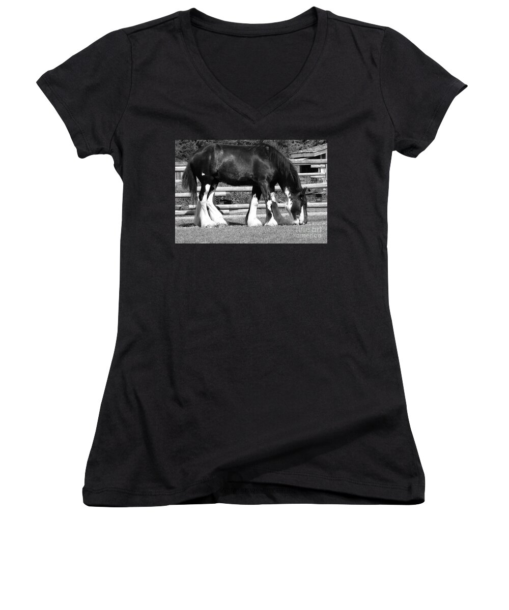 Draft Horse Women's V-Neck featuring the photograph Double Vision by Ann E Robson