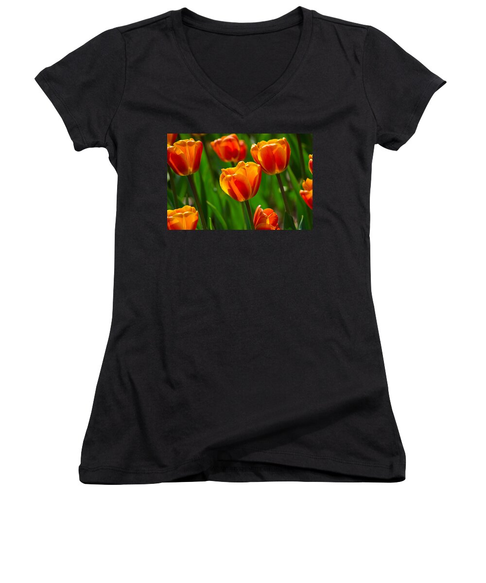 Orange Tulips Women's V-Neck featuring the photograph Dreamsicle Tulips by Tikvah's Hope