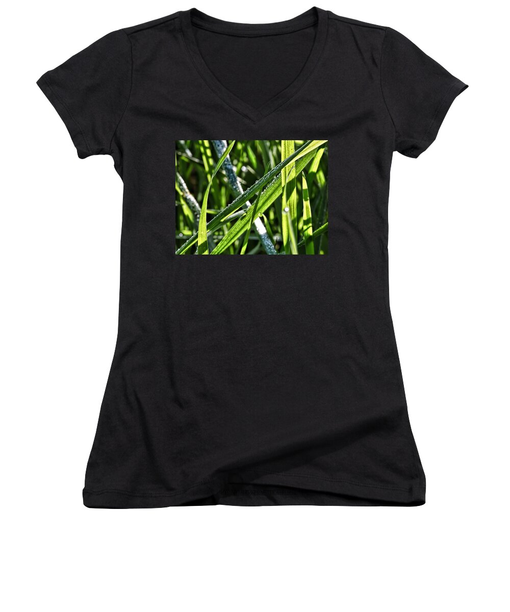Droplets Women's V-Neck featuring the photograph Droplets on the green-Drplets on green leafs of seagrass in sunlight by Leif Sohlman