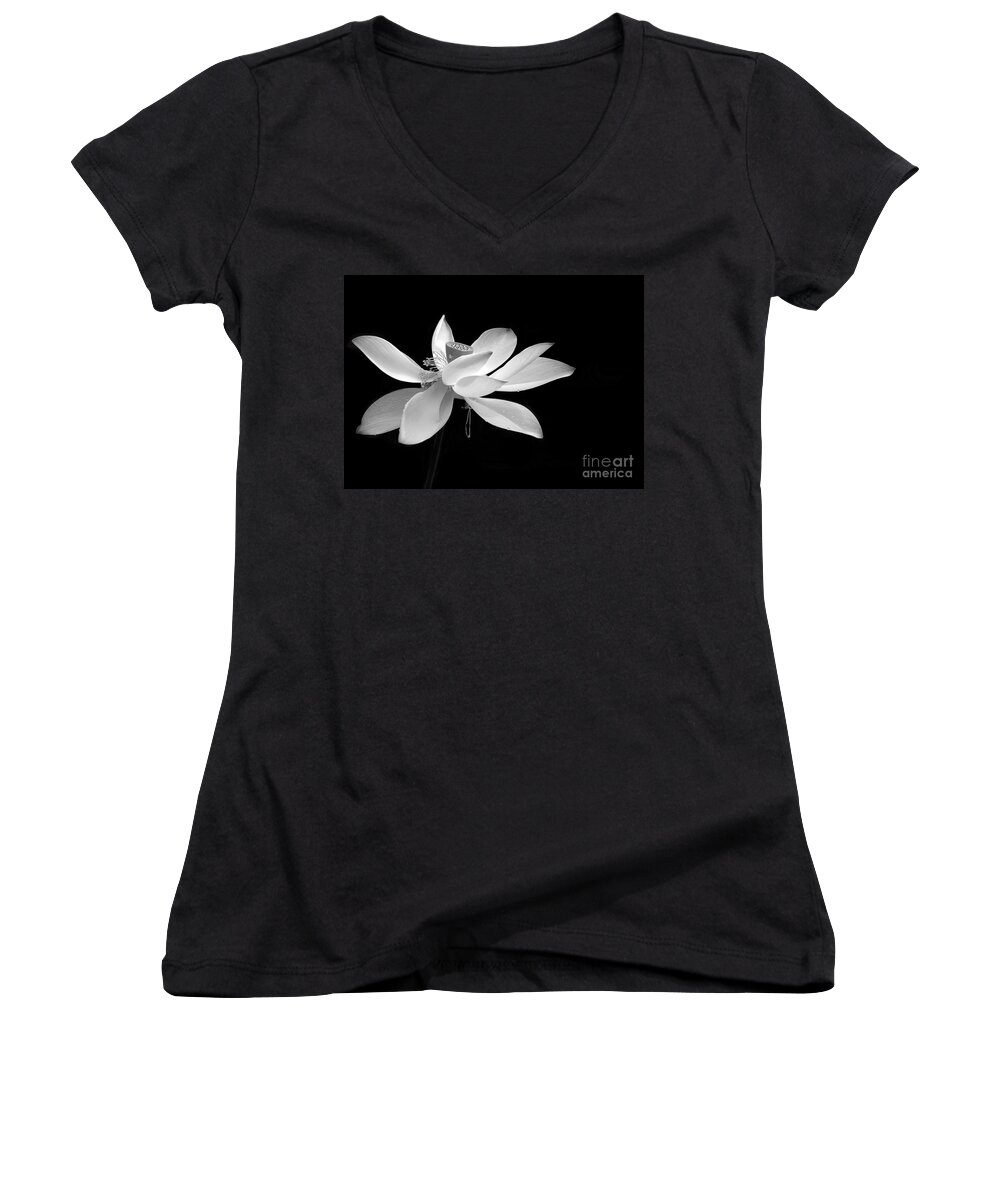 American Women's V-Neck featuring the photograph Elegance by Sabrina L Ryan