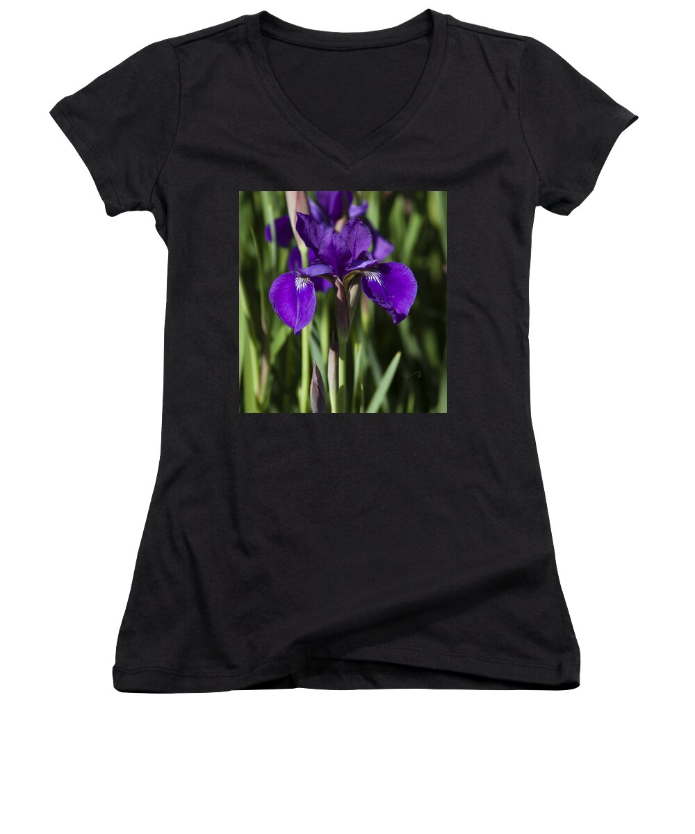 Flowers Women's V-Neck featuring the photograph Eloquent Iris by Penny Lisowski