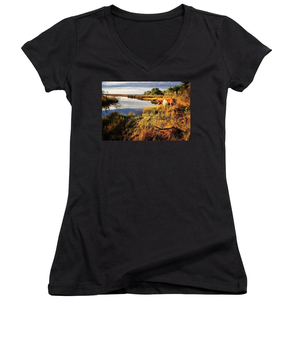 Horses Women's V-Neck featuring the photograph Everybody In Da Pool-CANNONBALL by Robert McCubbin