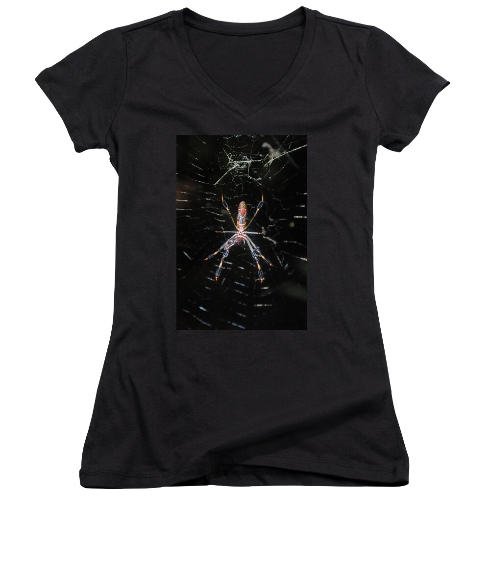 Araneae Women's V-Neck featuring the photograph Insect Me Closely by George D Gordon III