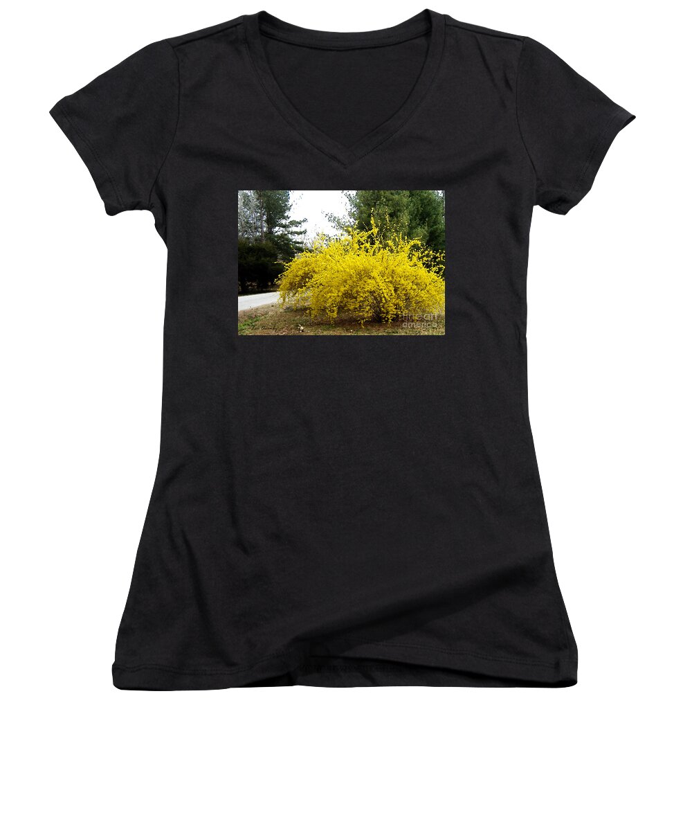 Forsythia Women's V-Neck featuring the photograph Forsythia by Lee Owenby