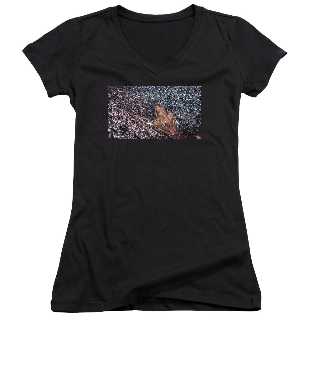 Amphibia Women's V-Neck featuring the photograph Frog On A Web by Traveler's Pics