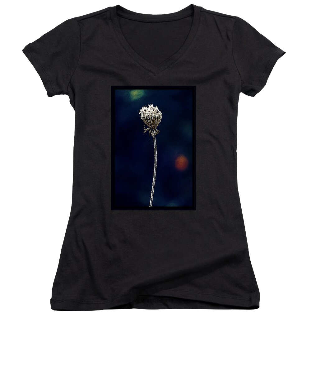 Queen Anne's Lace Women's V-Neck featuring the photograph Frozen Warmth by Melanie Lankford Photography