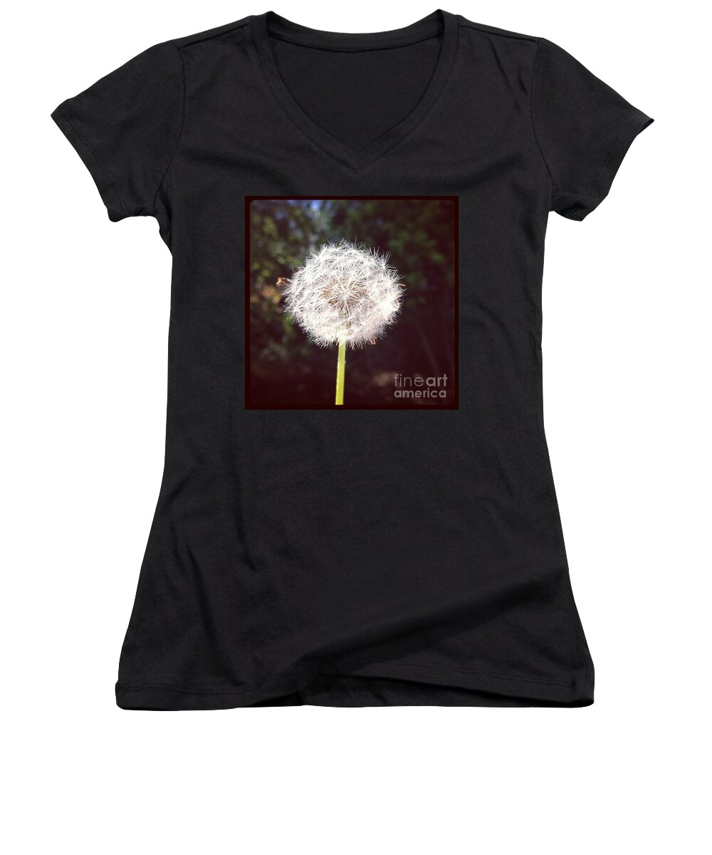 Dandelion Women's V-Neck featuring the photograph Fuzzy by Denise Railey