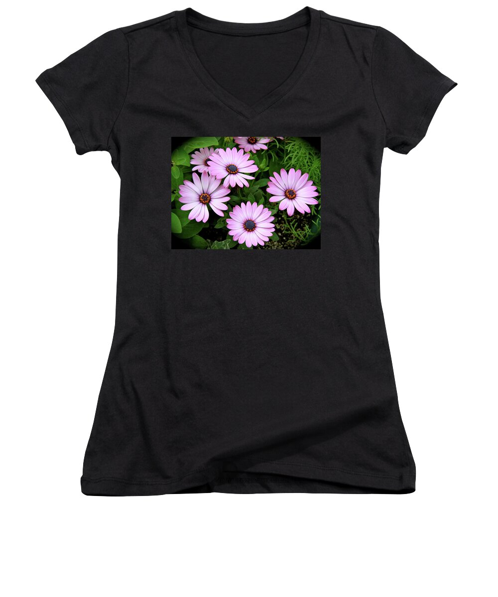 Sunflower Women's V-Neck featuring the photograph Sunflower Power by Ed Riche