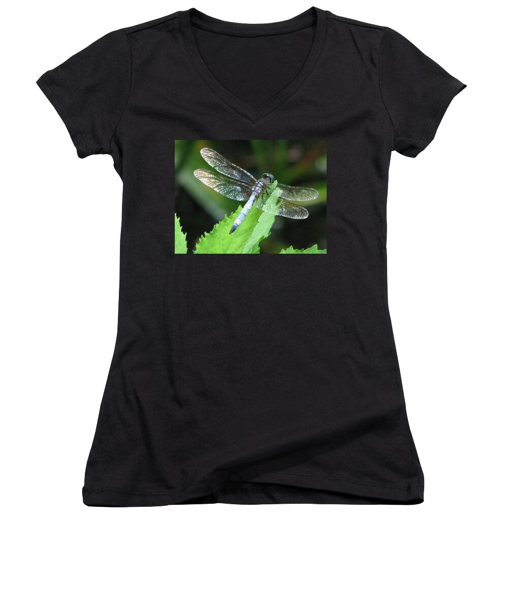 Dragon Fly Women's V-Neck featuring the photograph Gentle Dragon by Cleaster Cotton