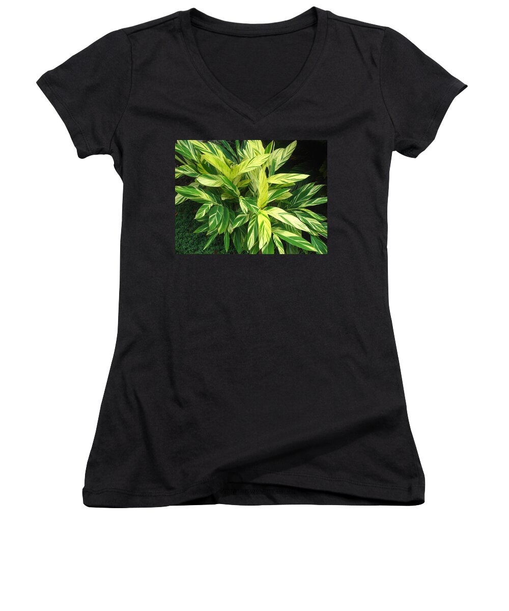 Ginger Lily Women's V-Neck featuring the photograph Ginger Lily. Alpinia Zerumbet by Connie Fox
