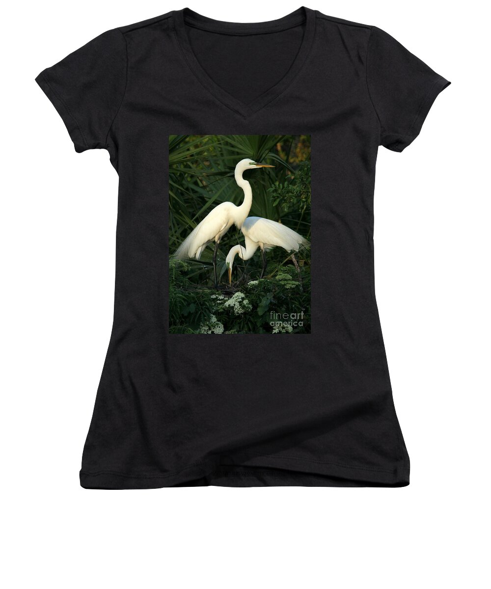 Art Women's V-Neck featuring the photograph Great White Egret Mates by Sabrina L Ryan