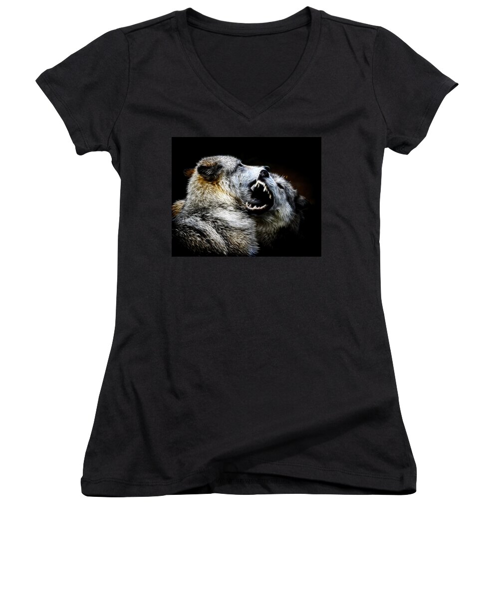 Wolf Fight Women's V-Neck featuring the photograph Grey Wolf Fight by Steve McKinzie