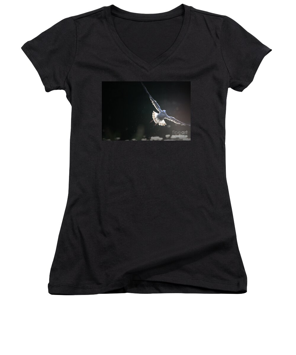 Seagull Women's V-Neck featuring the photograph Gull in Flight by Karol Livote