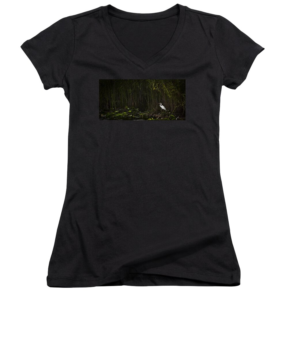 Florida Women's V-Neck featuring the photograph Heron In Grass by Bradley R Youngberg
