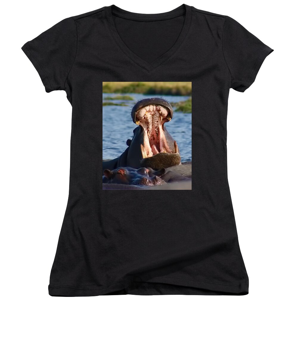 Hippo Women's V-Neck featuring the photograph Hippo Yawn by Amanda Stadther
