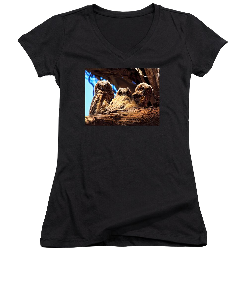 Owl Women's V-Neck featuring the photograph Hoo Are You by Beth Sargent