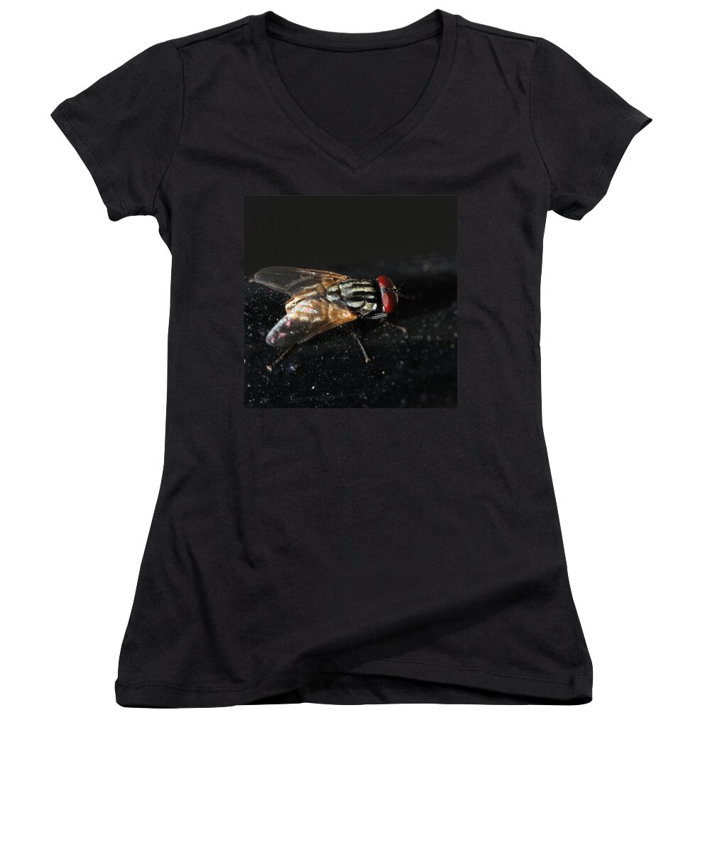 Housefly Women's V-Neck featuring the photograph Housefly by Ramabhadran Thirupattur