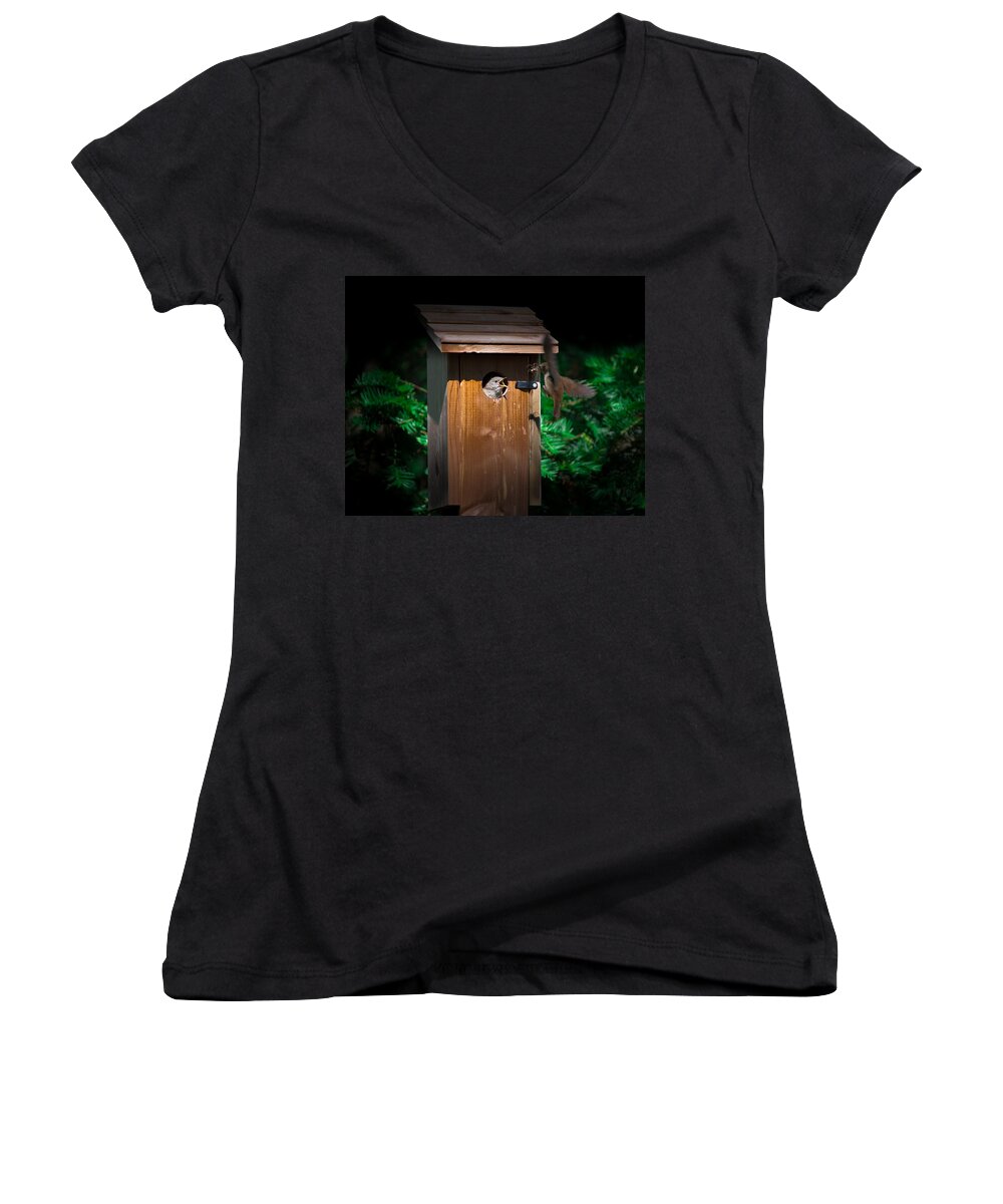 Mama Bird Women's V-Neck featuring the photograph I'm Hungry by Kenneth Cole