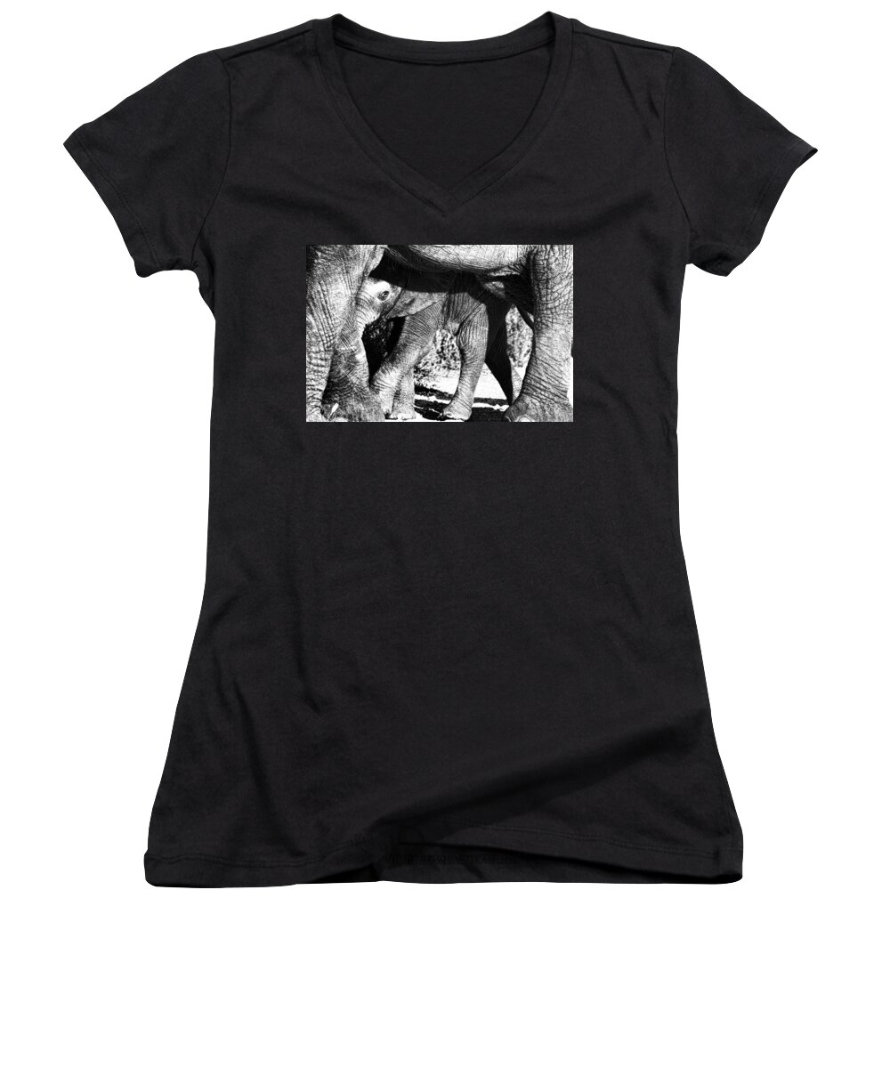 Elephant Women's V-Neck featuring the photograph In Mother's Shadow by Douglas Barnard