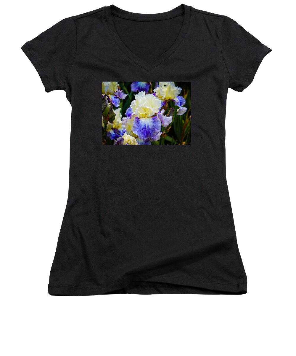 Iris Women's V-Neck featuring the photograph Iris in blue and yellow by Patricia Babbitt
